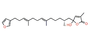 Cacolide A